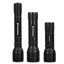 Maximus Black LED Battery-powered Torch, Pack of 3