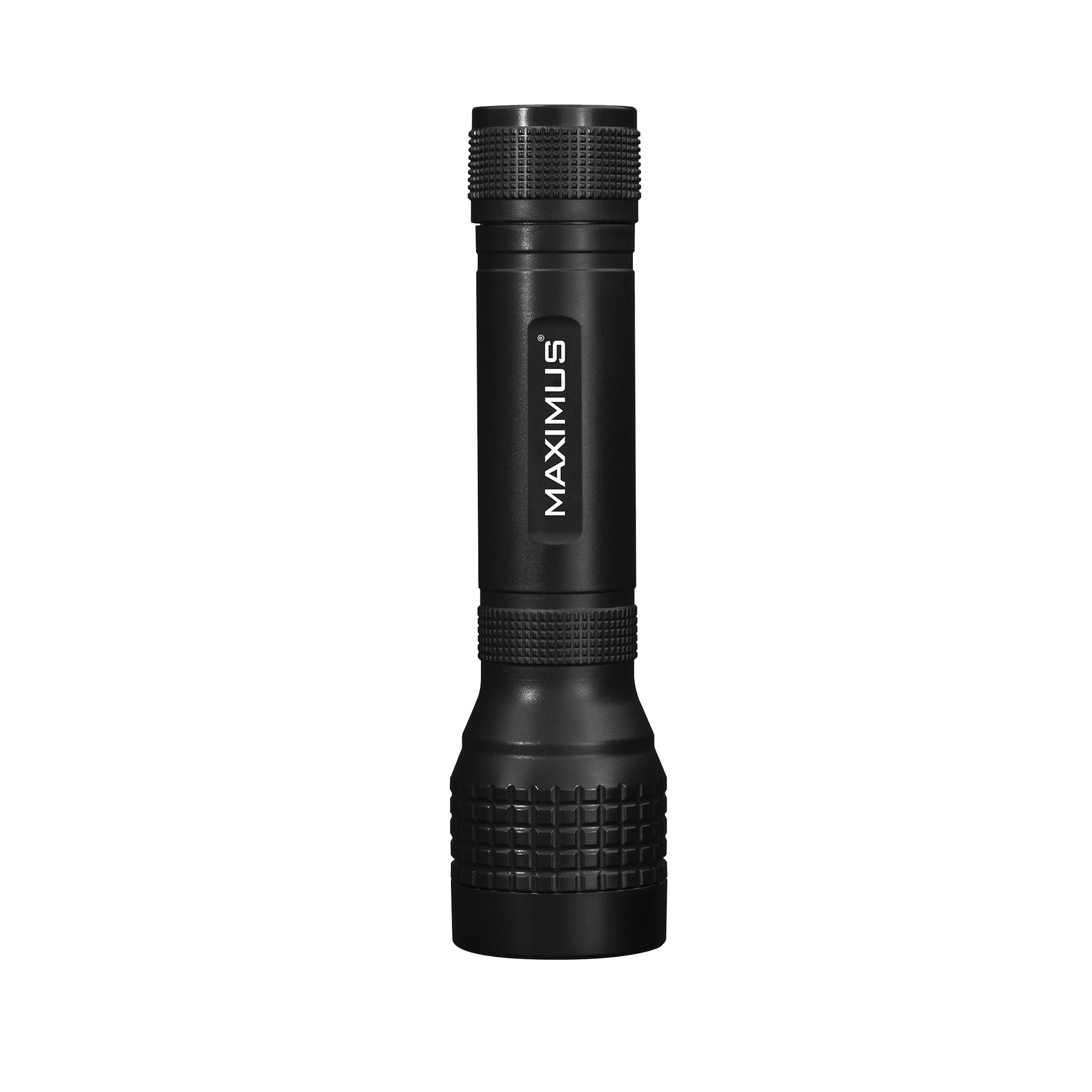 Maximus Black LED Battery-powered Torch, Pack of 3