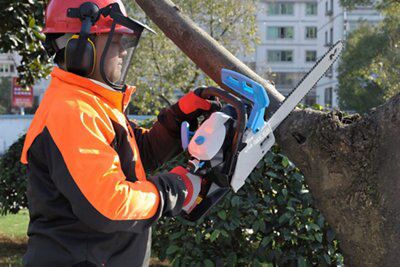 MCSWP40 40cc Petrol Chainsaw