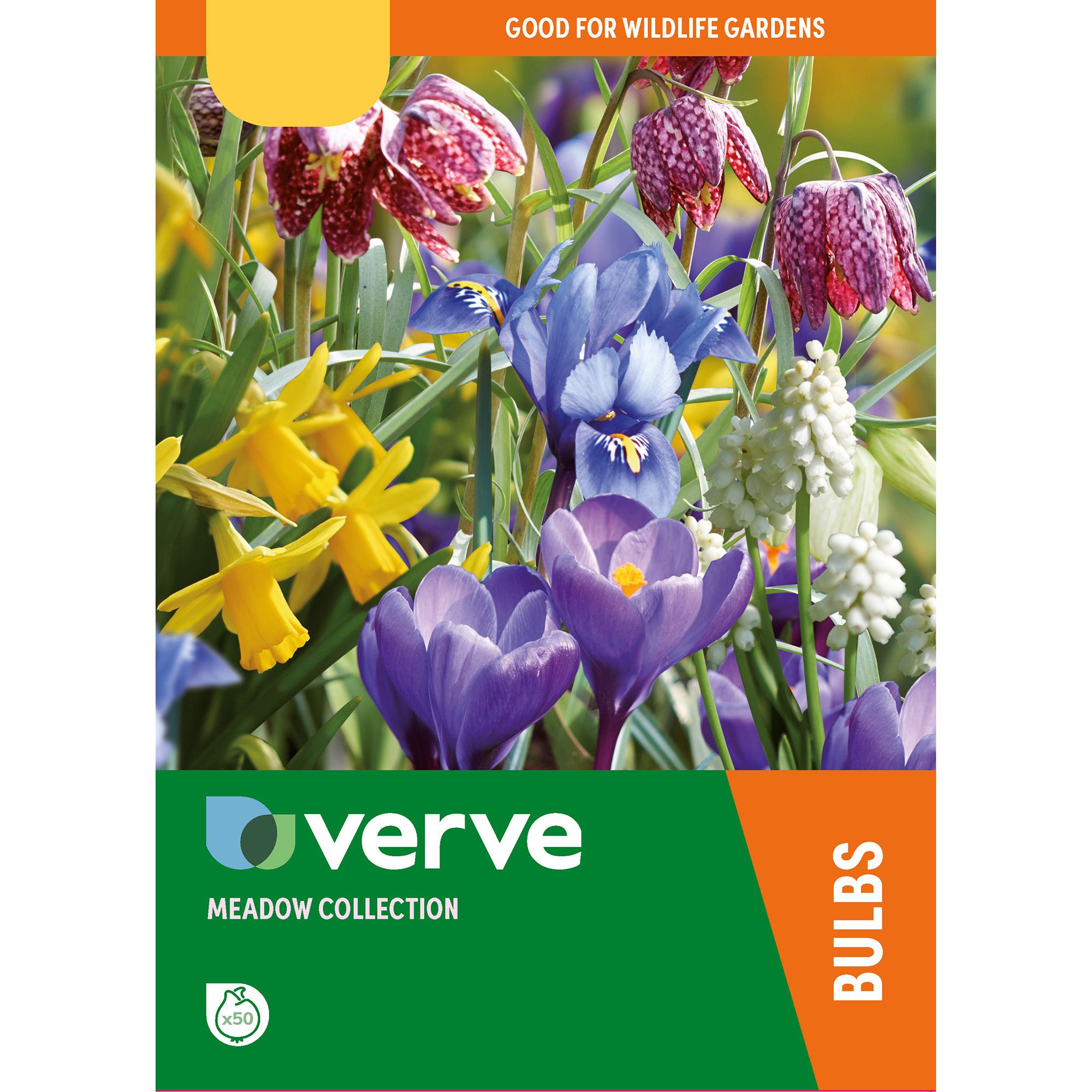 Meadow collection Flower bulb, Pack of 50 DIY at B&Q