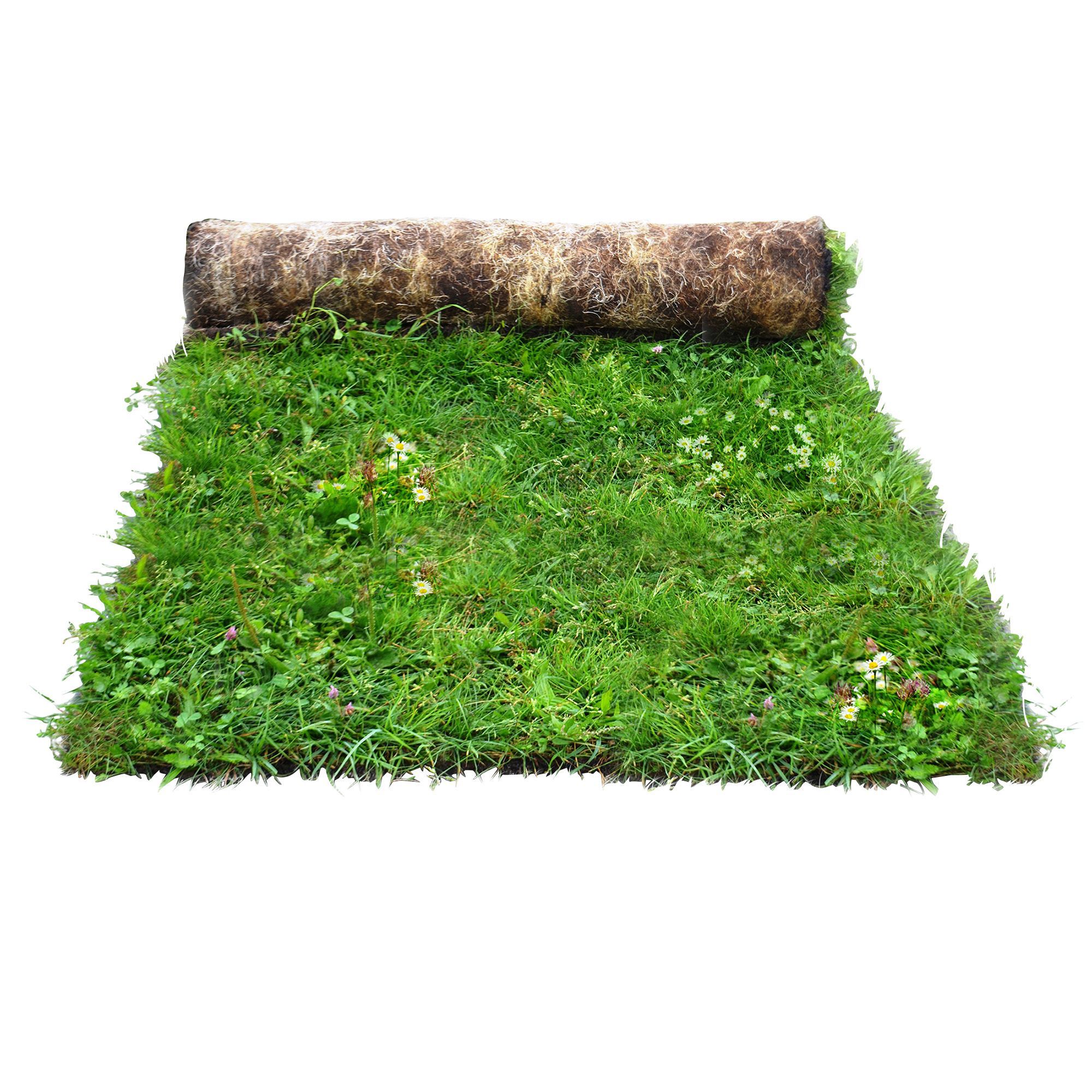 Meadowmat Wildflower Turf, 20m² Pack | DIY At B&Q