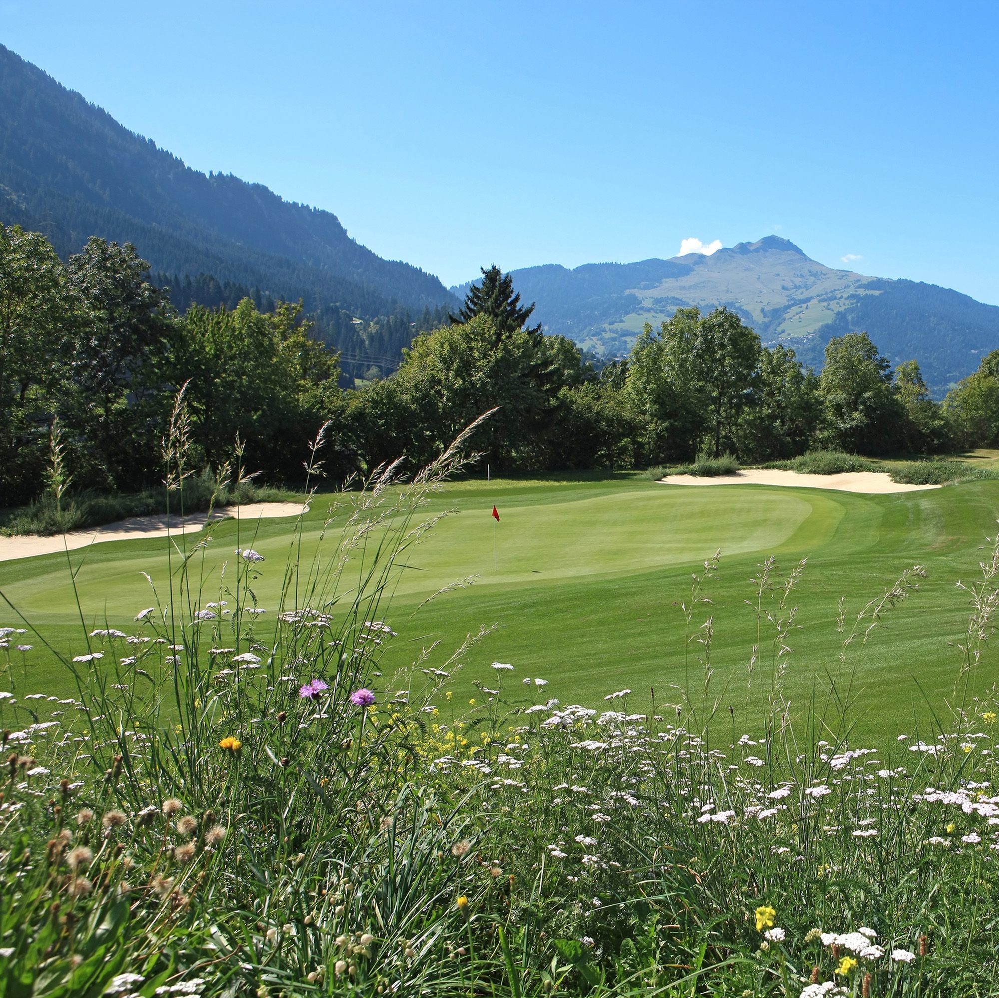 Meadowmat Wildflower Turf 20m Pack Diy At B Q