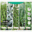 Mediterranean herb collection Seed