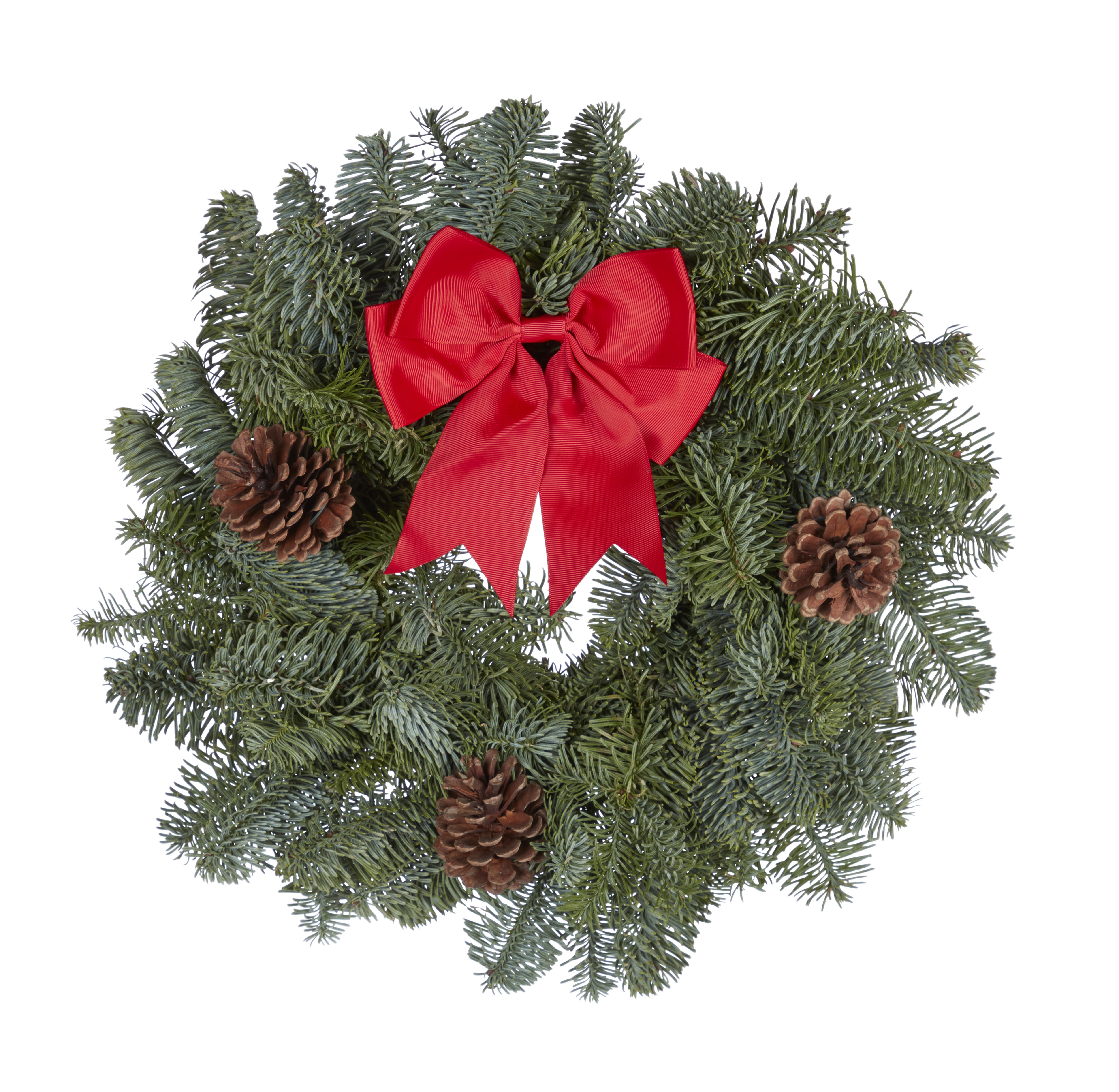 Medium Bow & pine cone Real Wreath