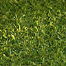 Medium density Artificial grass (W)4m (T)19mm