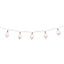 Metal cage Battery-powered Warm white 10 LED Indoor String lights
