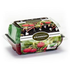 Mini greenhouse Baron von Solemacher Strawberry Growing kit