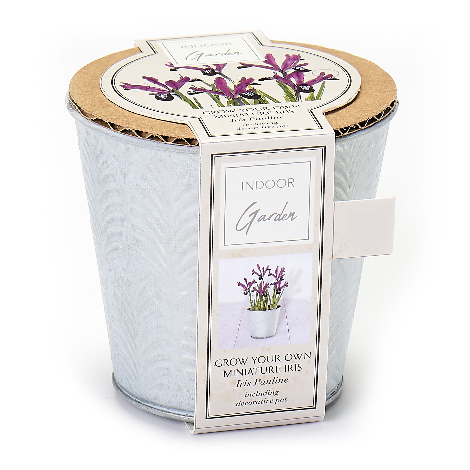 Miniature iris Metal Bucket DIY at B&Q