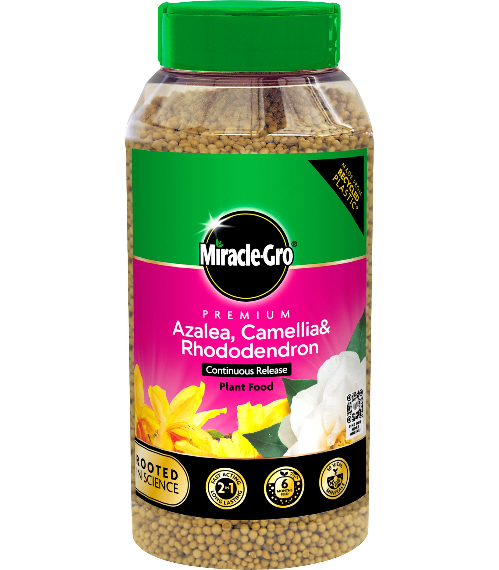 Miracle-Gro Ericaeceous Rhododendron Plant fertiliser Granules 0.9kg