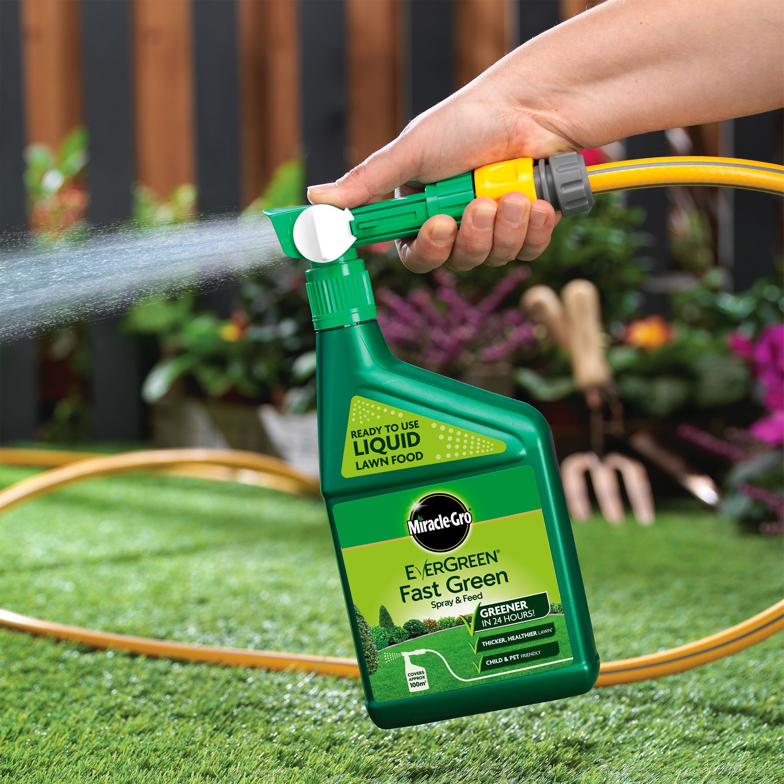 Green lawn deals spray