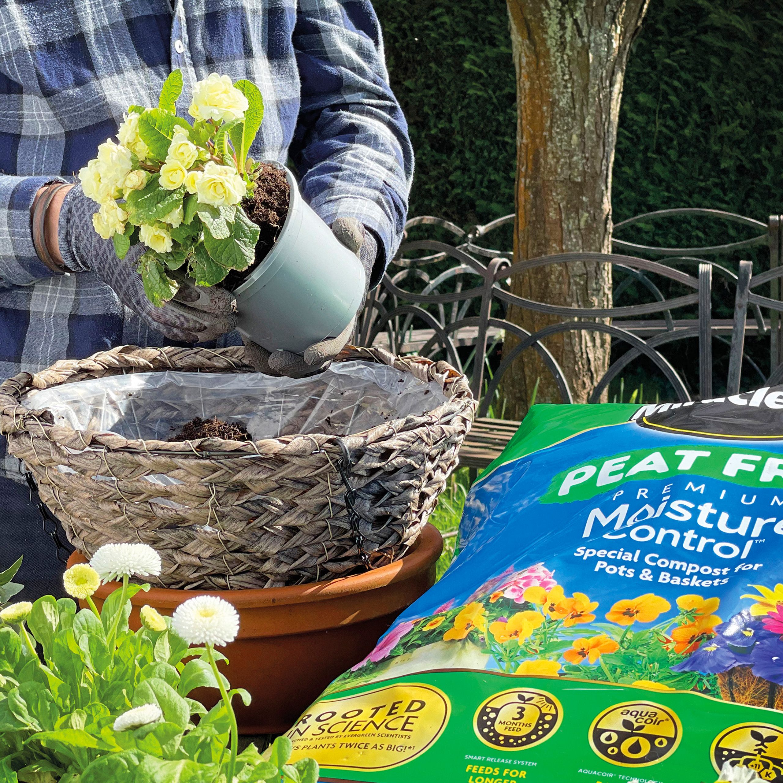 Miracle-Gro® Peat Free Premium Moisture Control Compost for Pots