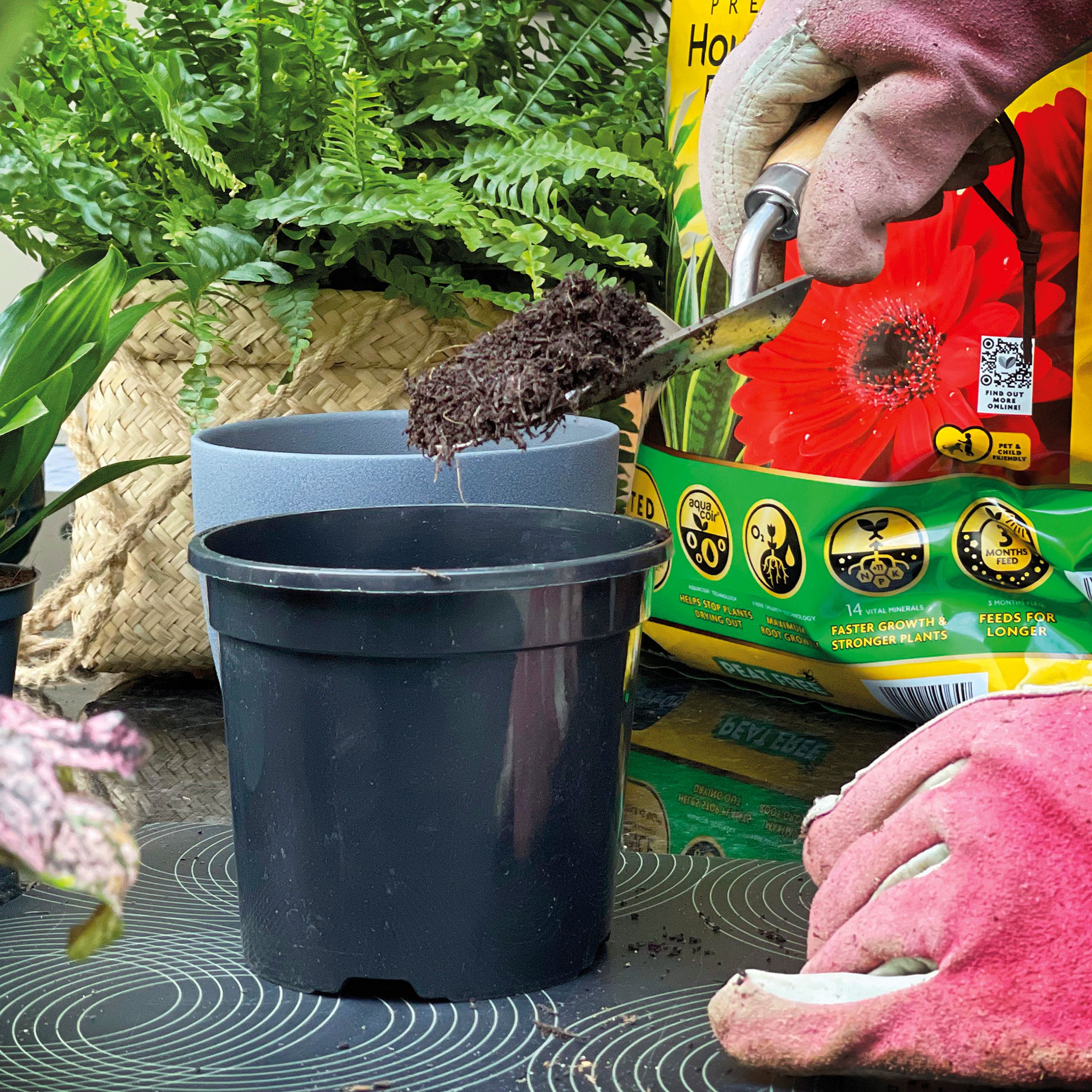 Miracle-Gro Peat-free Houseplant Compost 10L