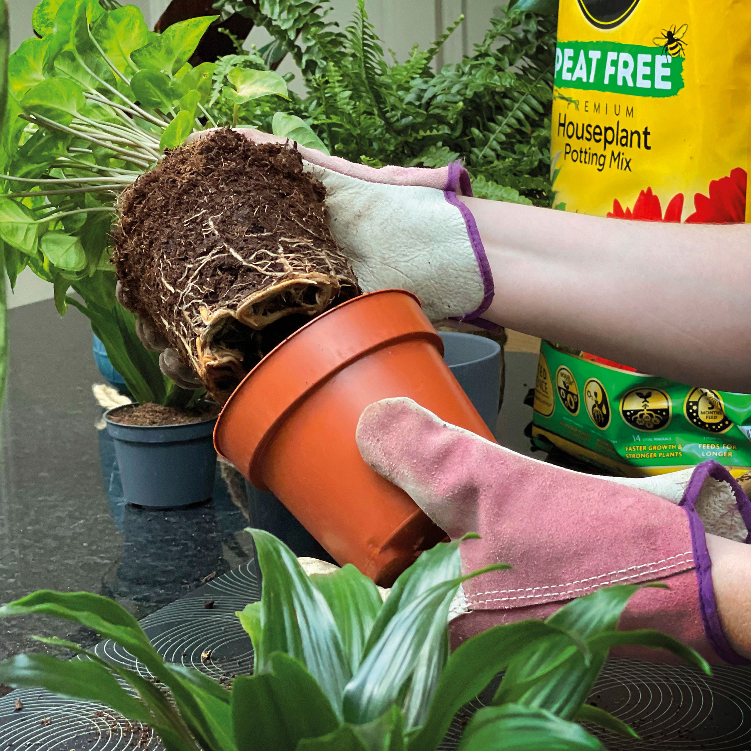 Miracle-Gro Peat-free Houseplant Compost 10L