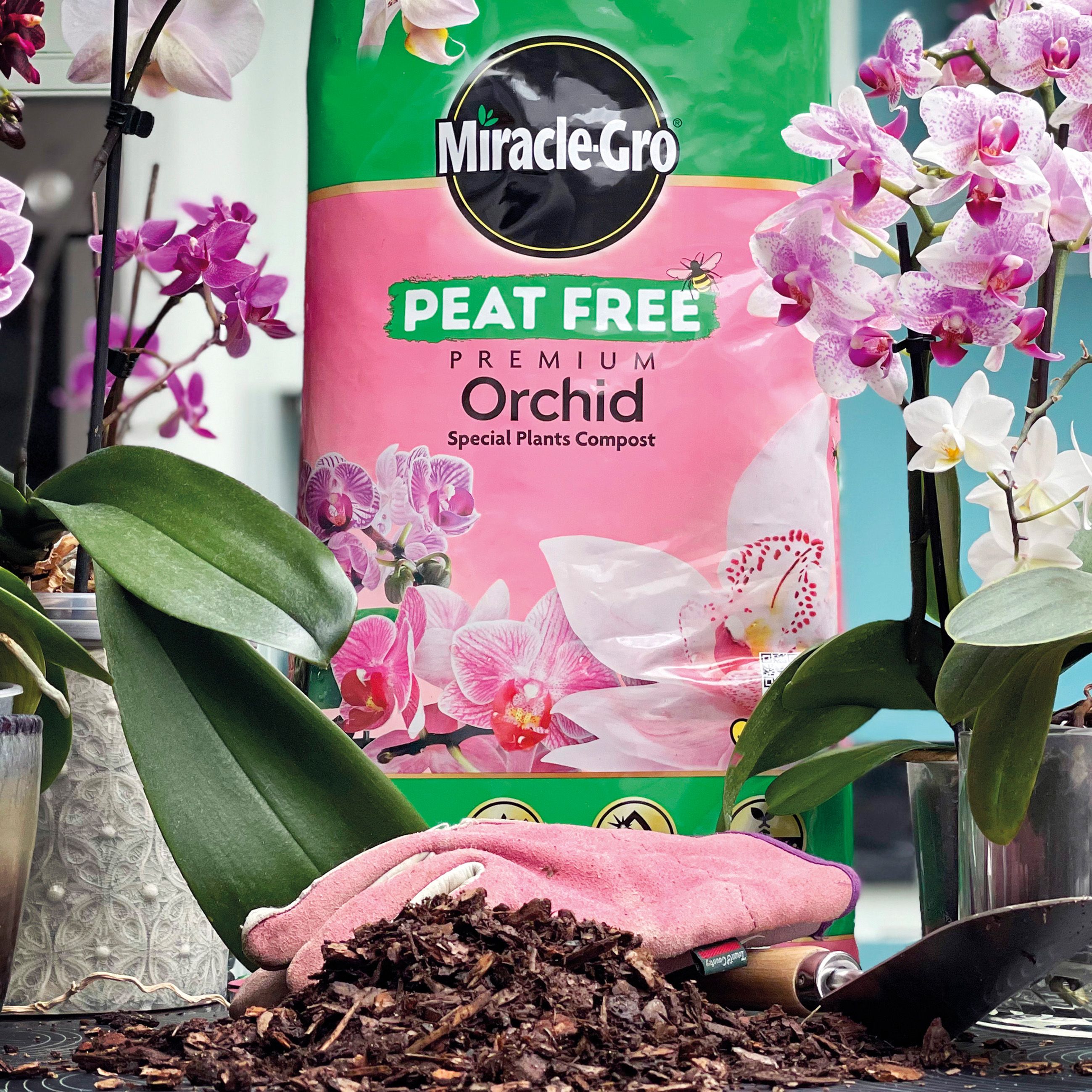 Miracle-Gro Peat-free Orchid Compost 10L