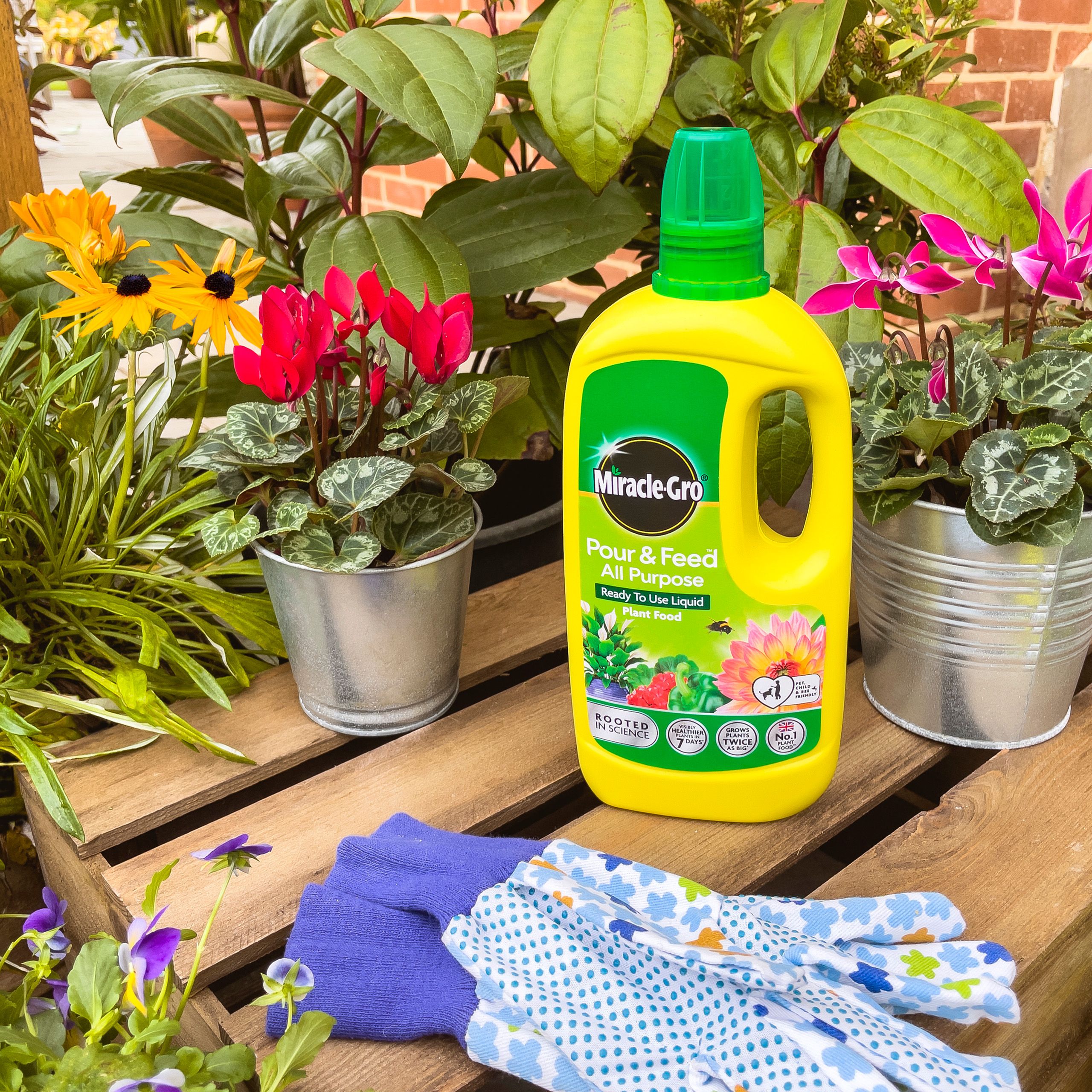 Miracle-Gro Pour & feed Liquid Universal Plant feed, 1L