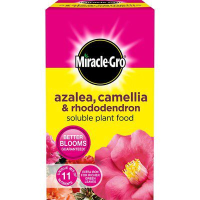 Miracle-Gro Rhododendron Plant feed Granules 1kg