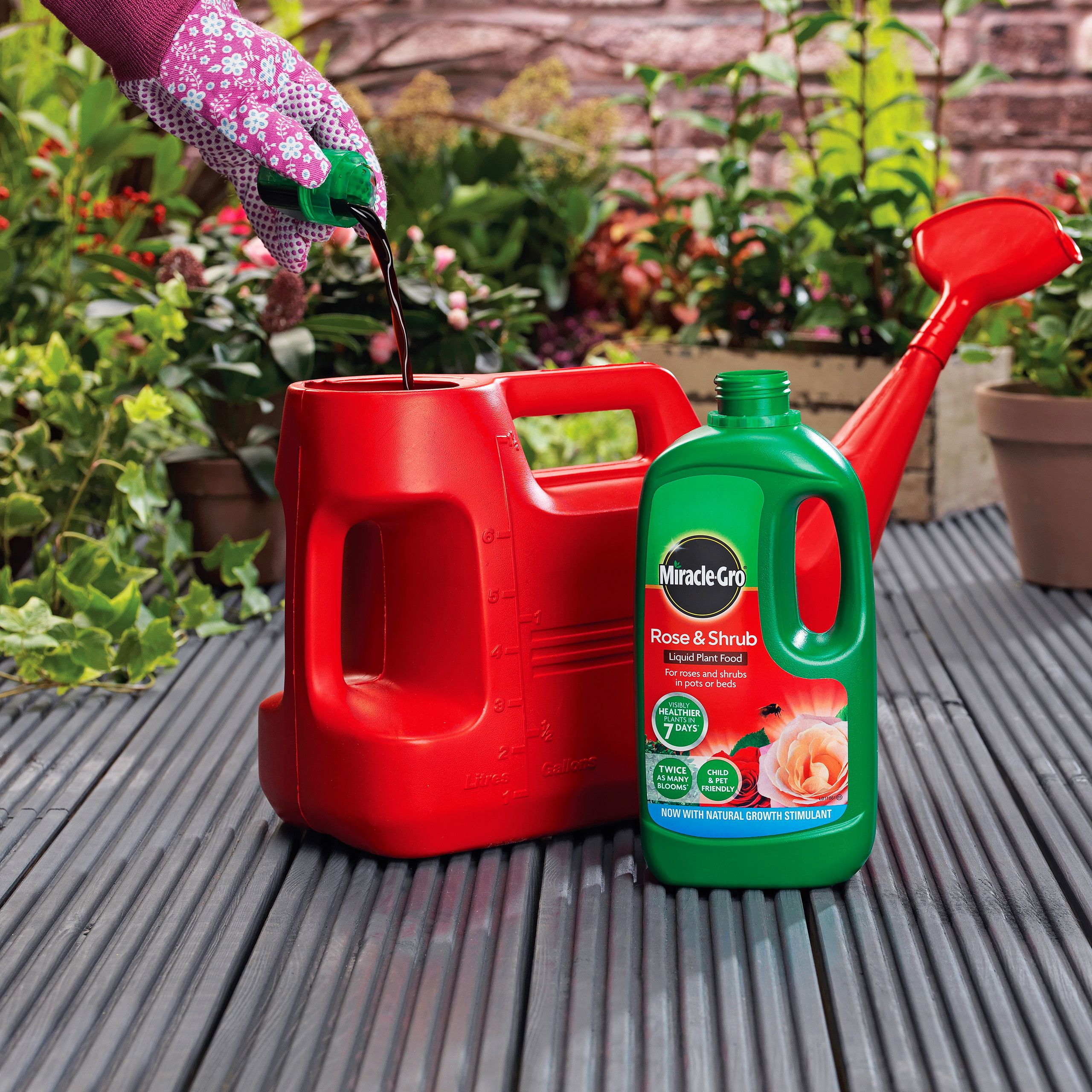 Miracle-Gro Rose & shrub Rose Liquid Plant feed