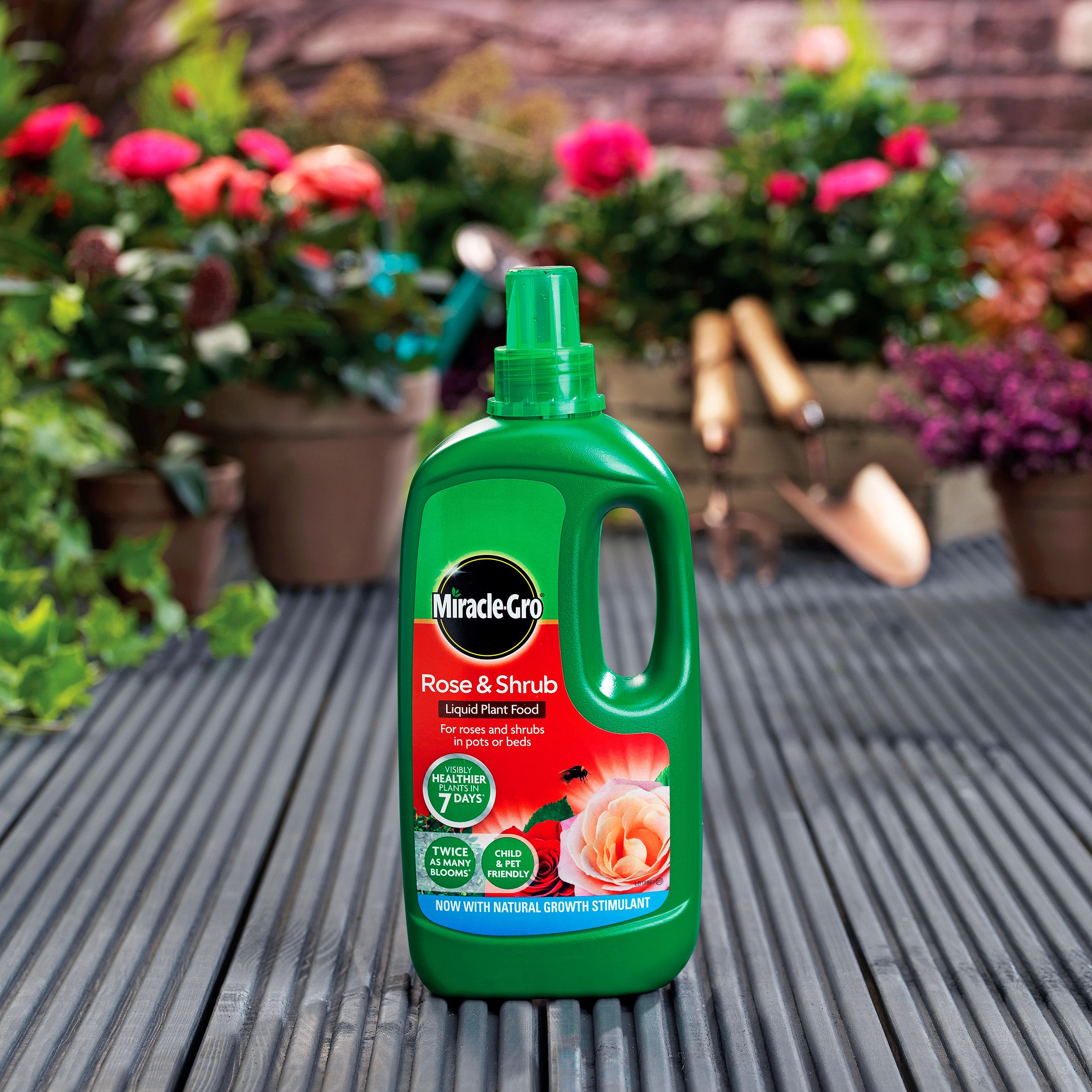 Miracle-Gro Rose & shrub Rose Liquid Plant feed