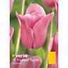 Mistress Tulip Flower bulb, Pack