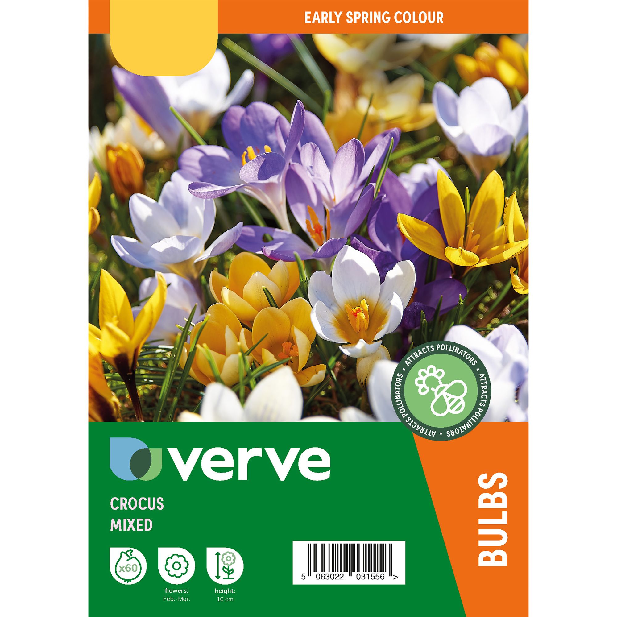 Mixed Crocus (early) Mix Flower bulb of 60