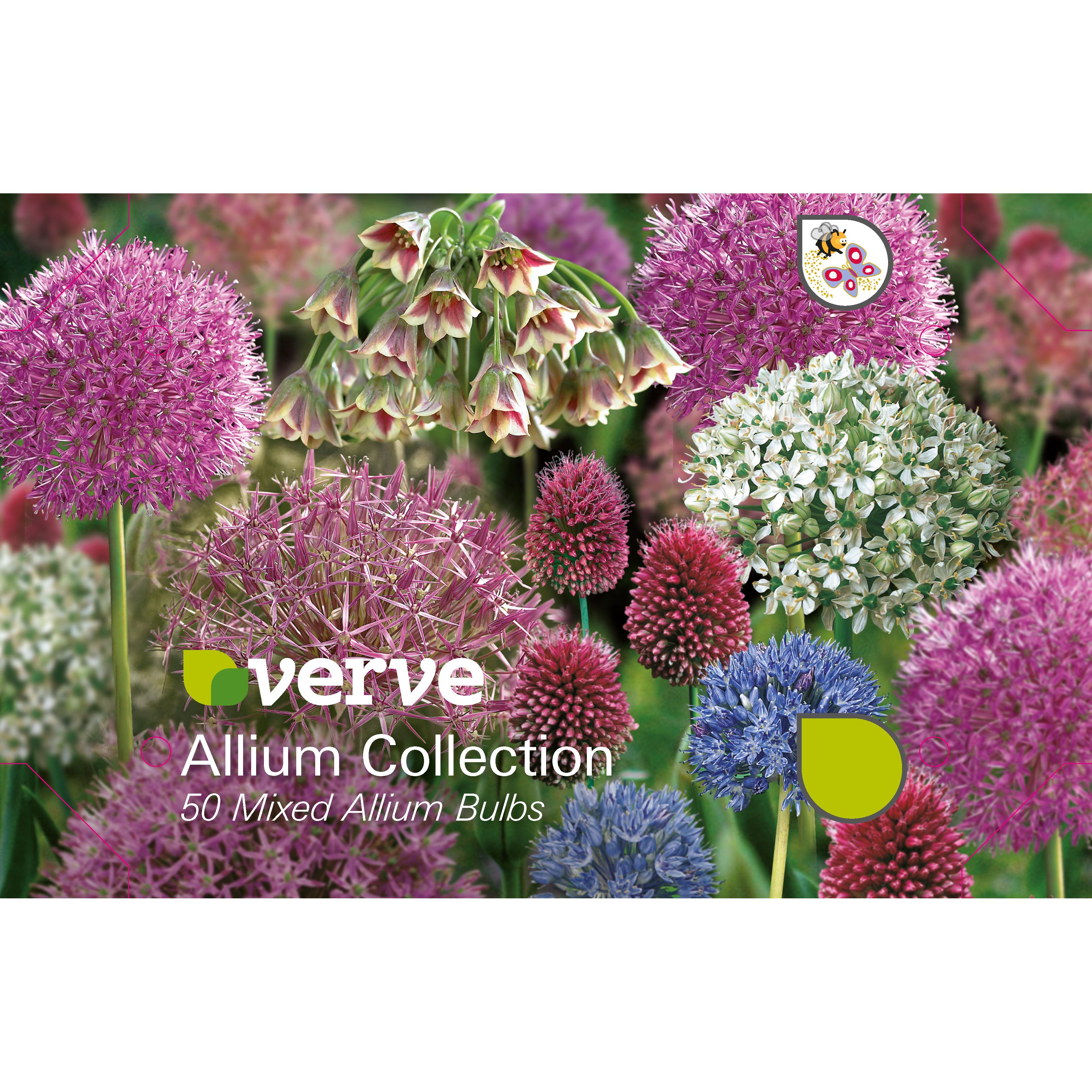 Mixed Flower bulb, Pack DIY at B&Q