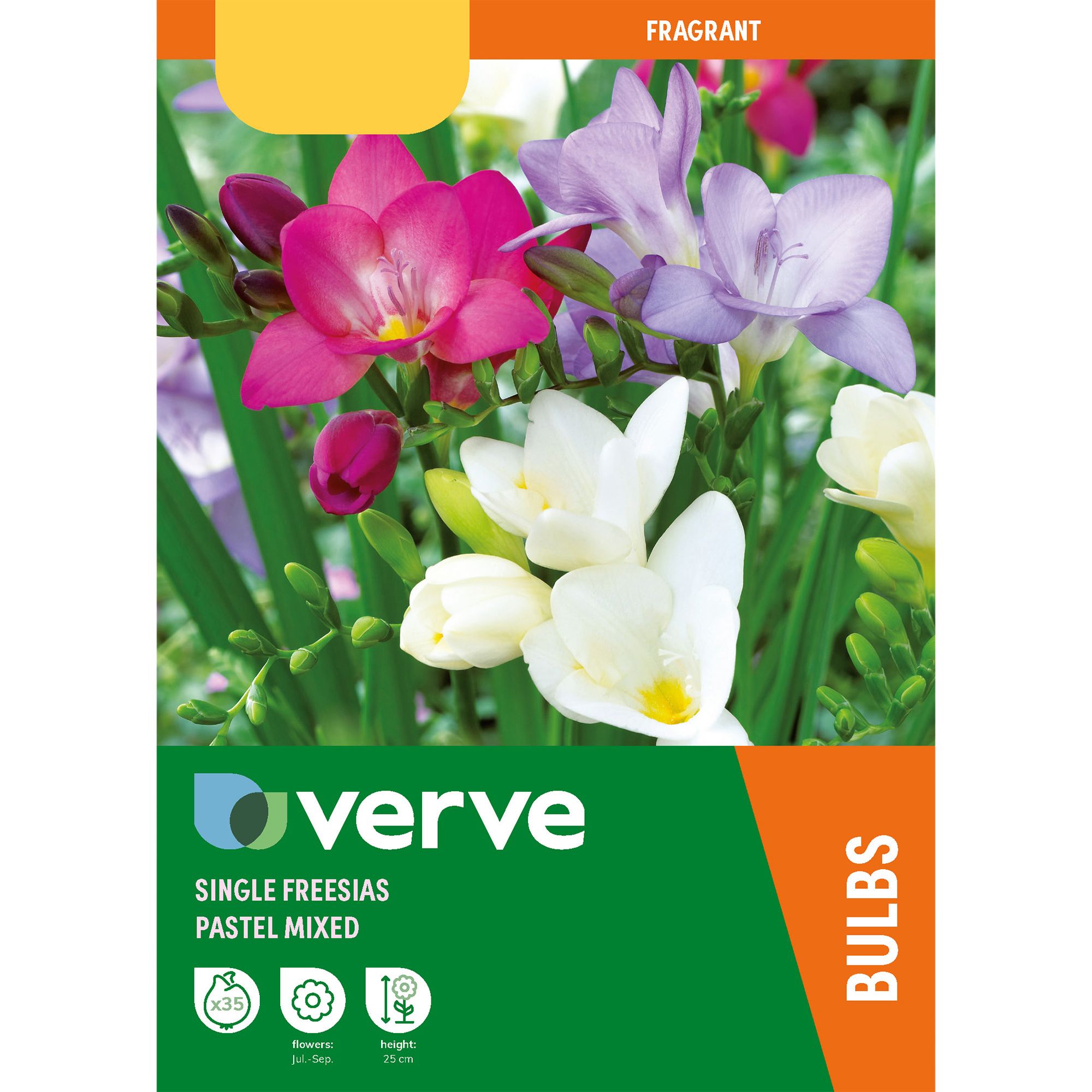 Mixed Single Freesias - Pastels Flower bulb, Pack of 35