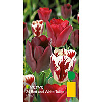 Mixed Tulip Flower bulb, Pack
