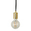 Miya Industrial gold Plug-in LED Wall light