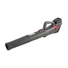 Bq leaf outlet blower