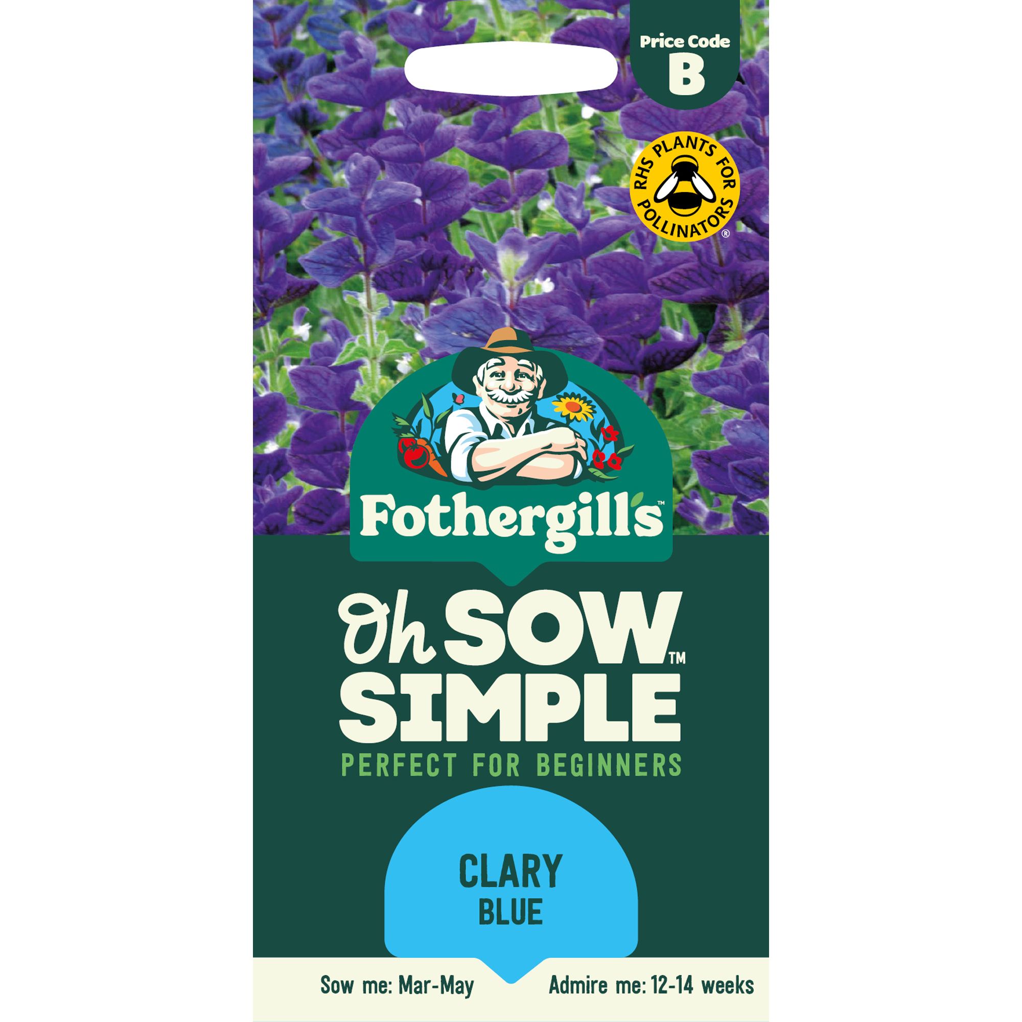 Mr Fothergills Blue Monday Clary Flower Seeds