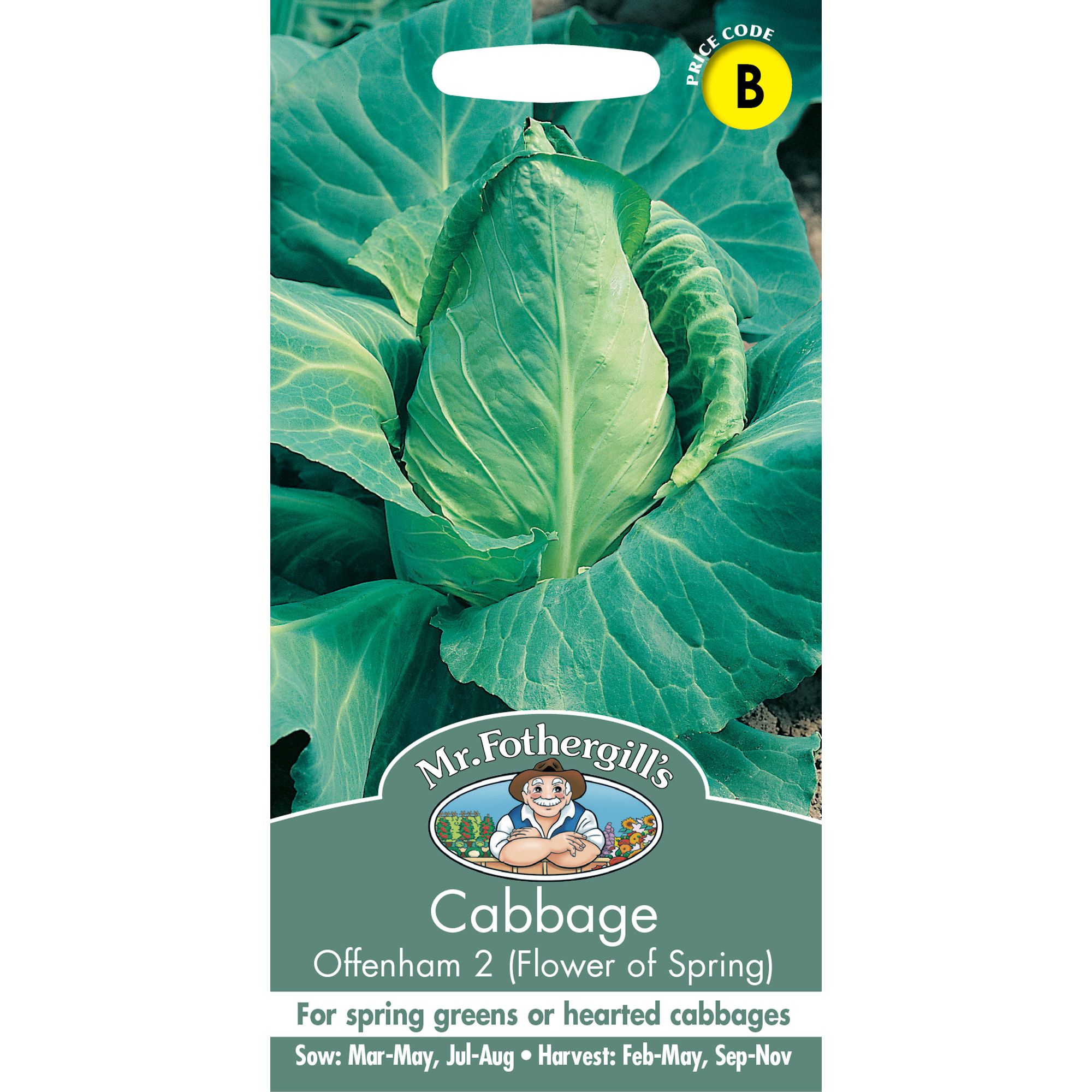 Mr Fothergills Cabbage 'Offenham 2 Flower of Spring' Vegetable Seeds