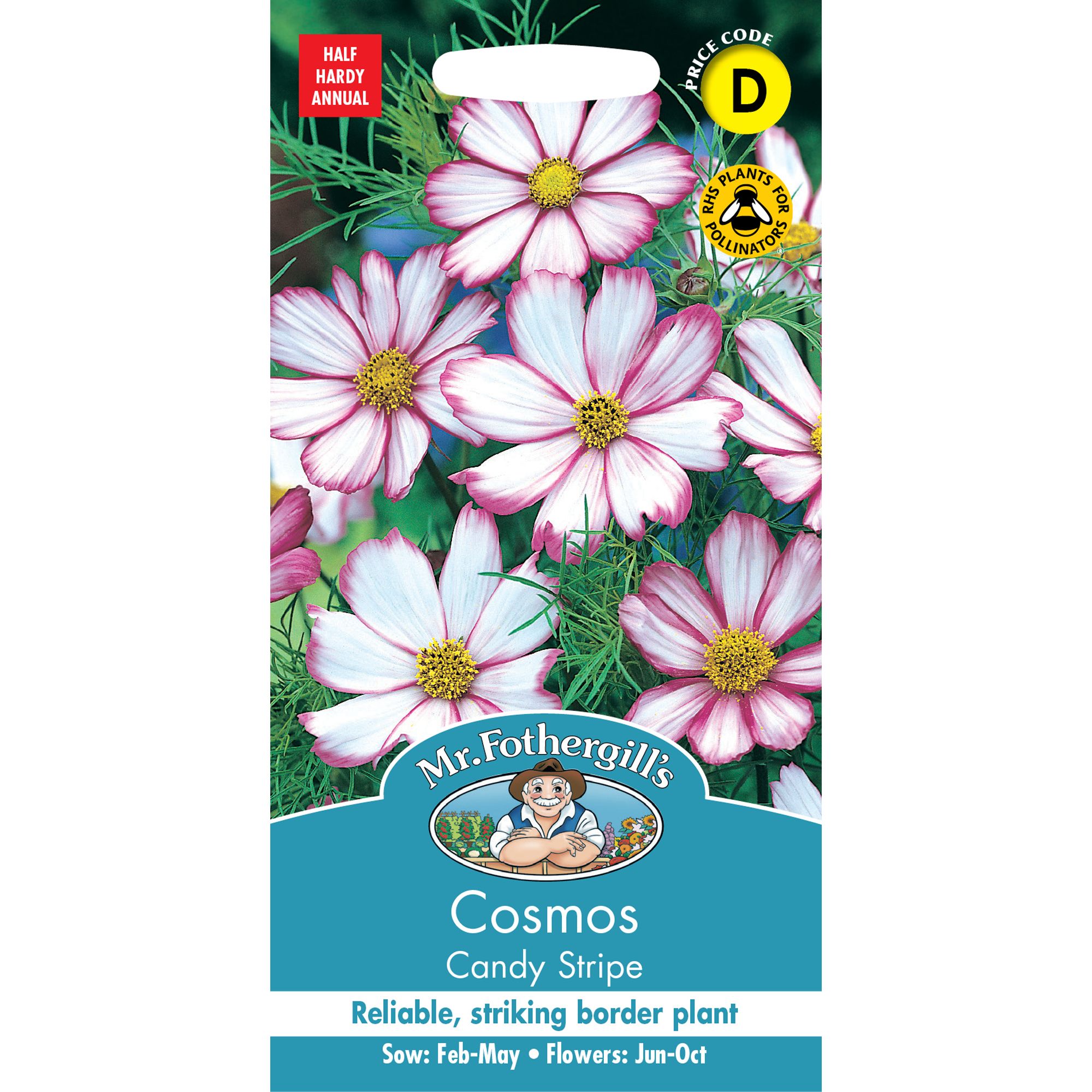 Mr Fothergills Candy Stripe Cosmos Flower Seeds