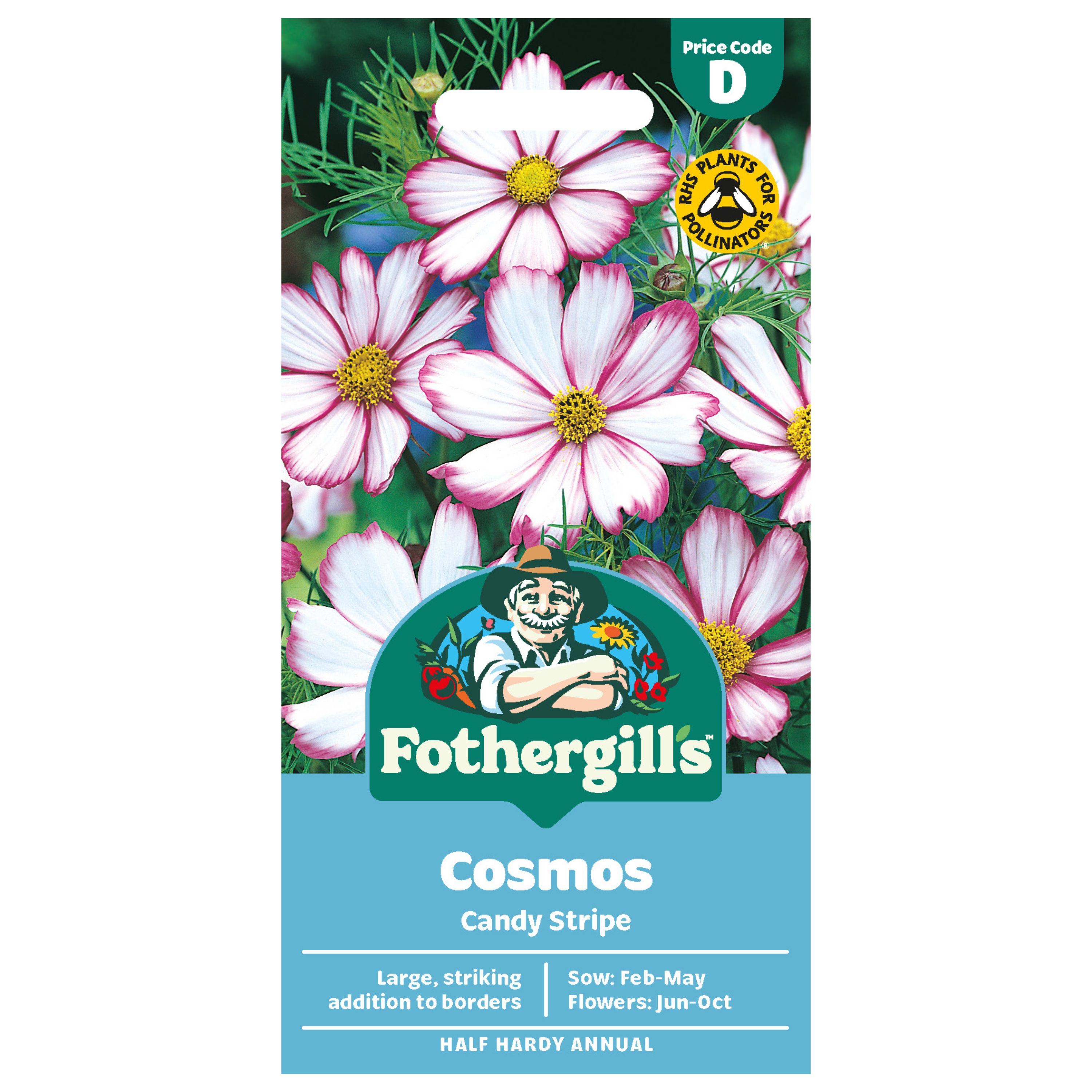 Mr Fothergills Candy Stripe Cosmos Flower Seeds