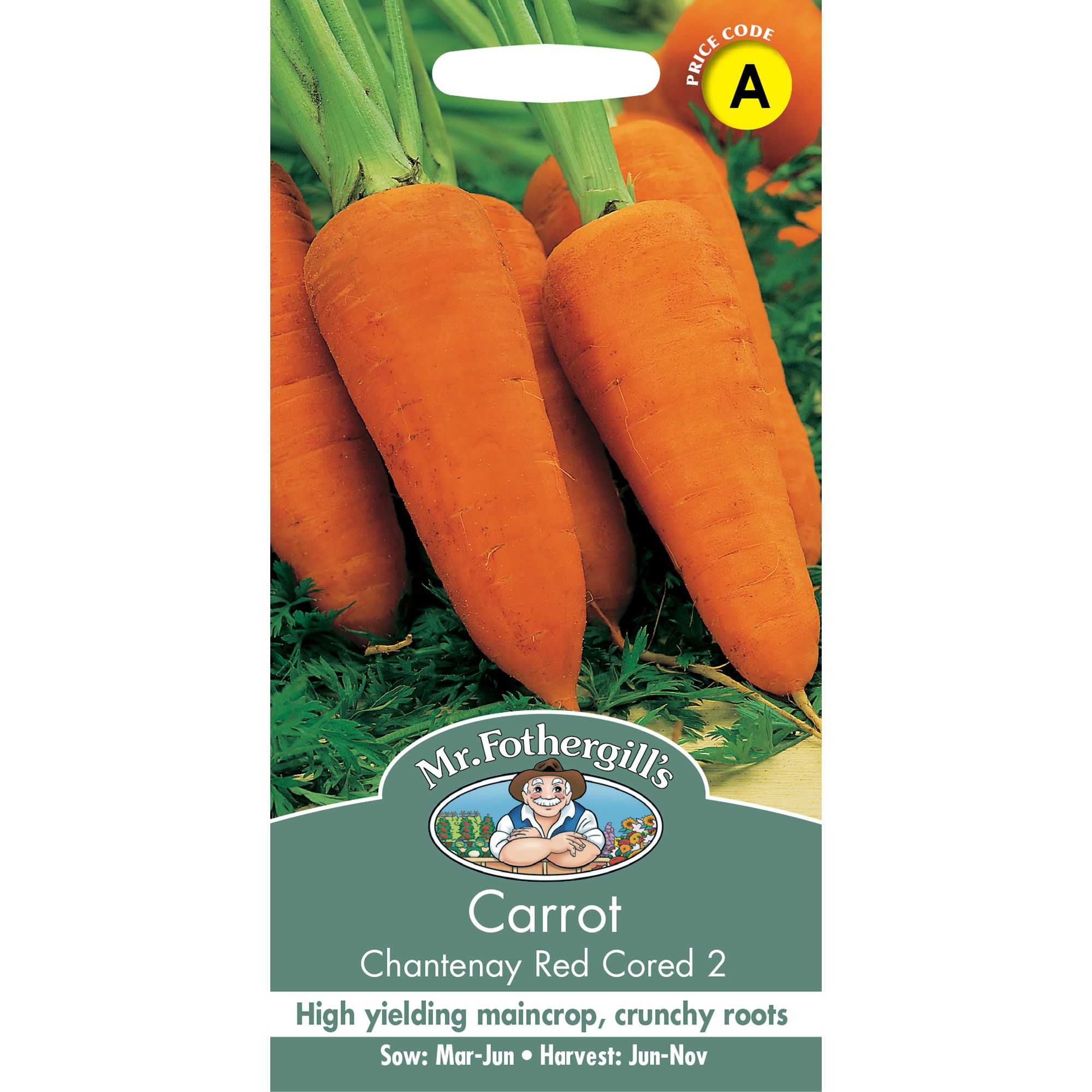 Mr Fothergills Carrot 'Chantenay Red Cored 2' Vegetable Seeds