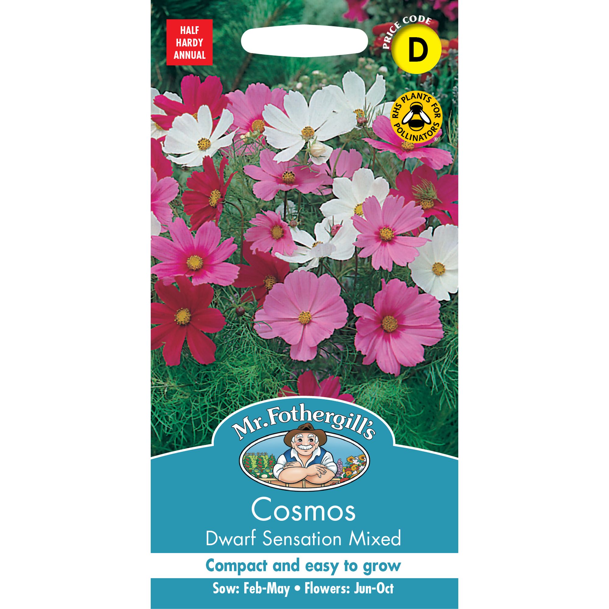 Mr Fothergills Dwarf Sensation Mixed Cosmos Flower Seeds