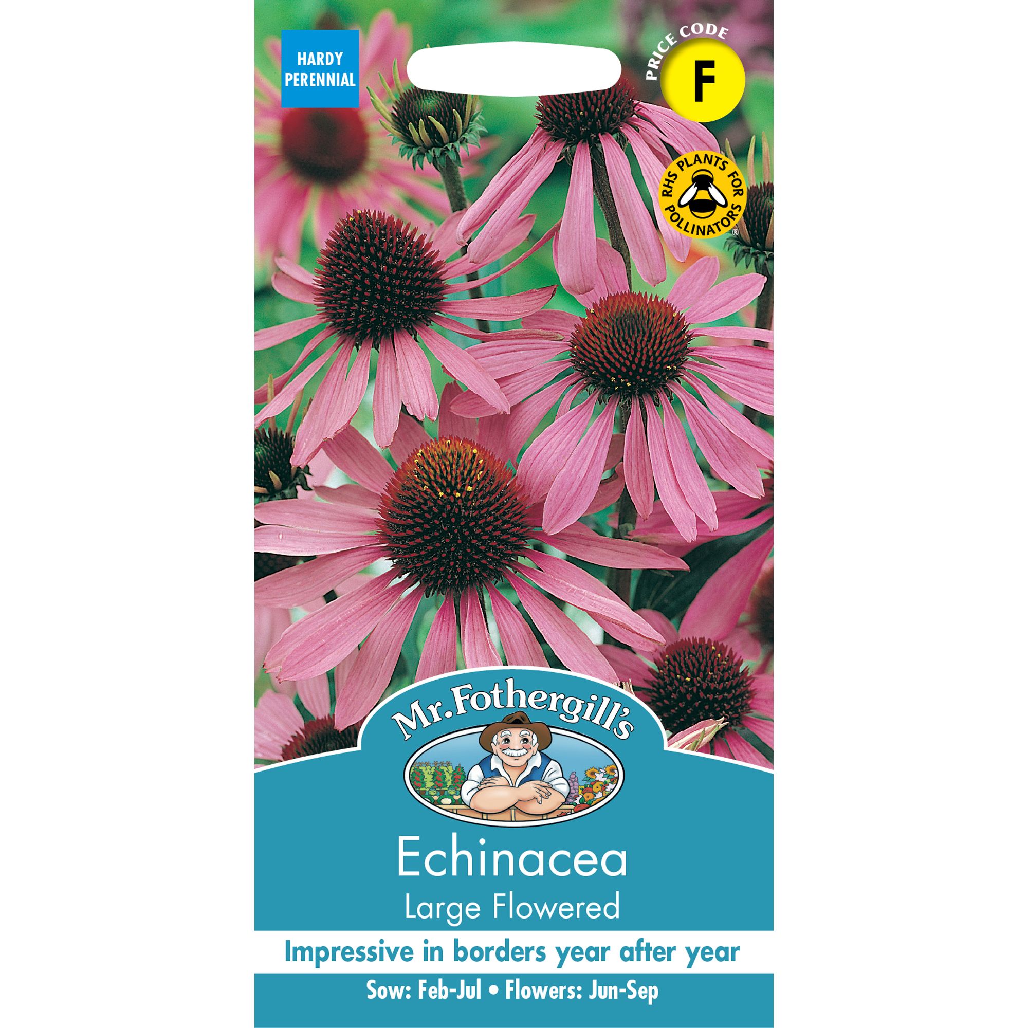 Mr Fothergills Large Fowered Echinacea Flower Seeds