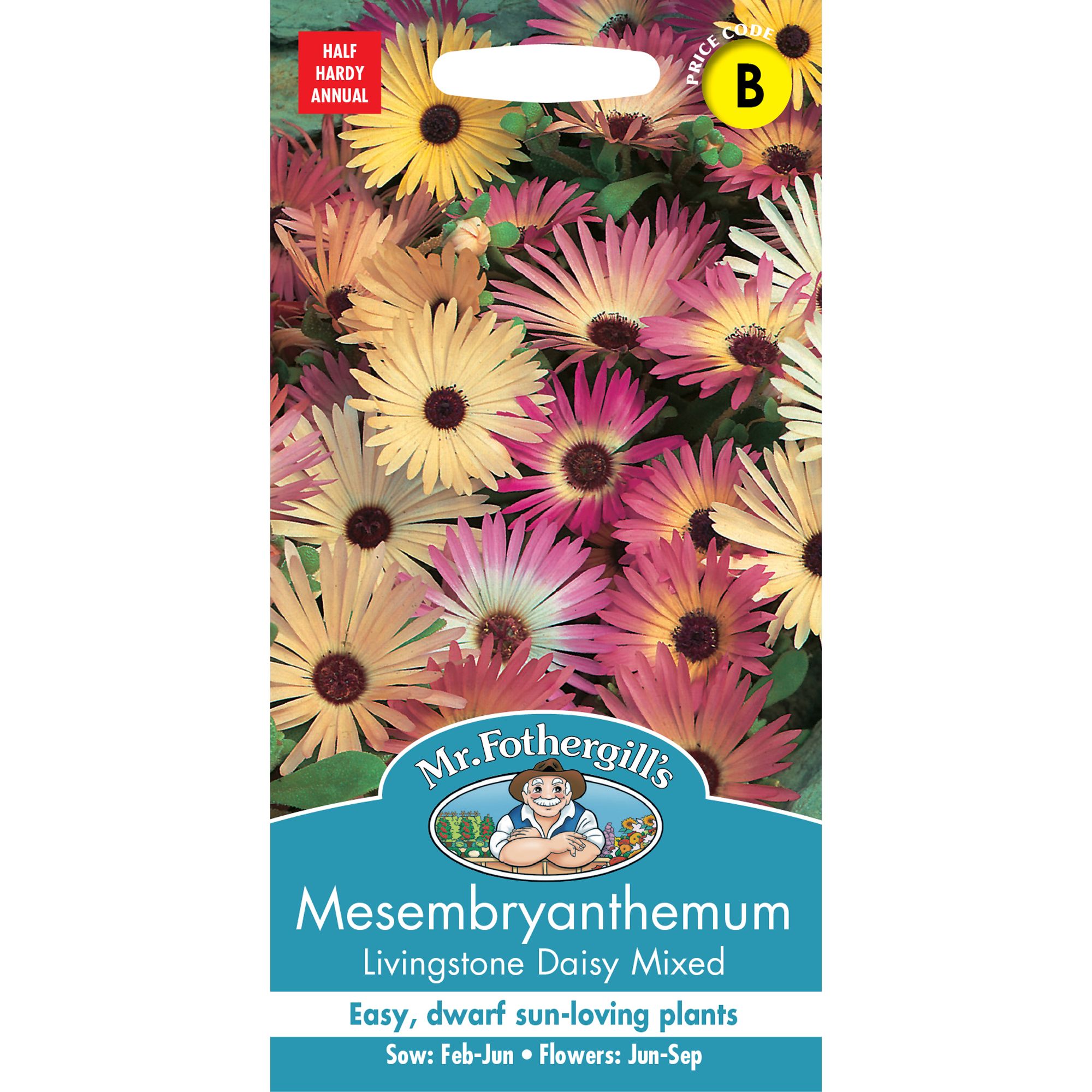 Mr Fothergills Livingstone Daisy Mixed Mesembryanthemum Flower Seeds