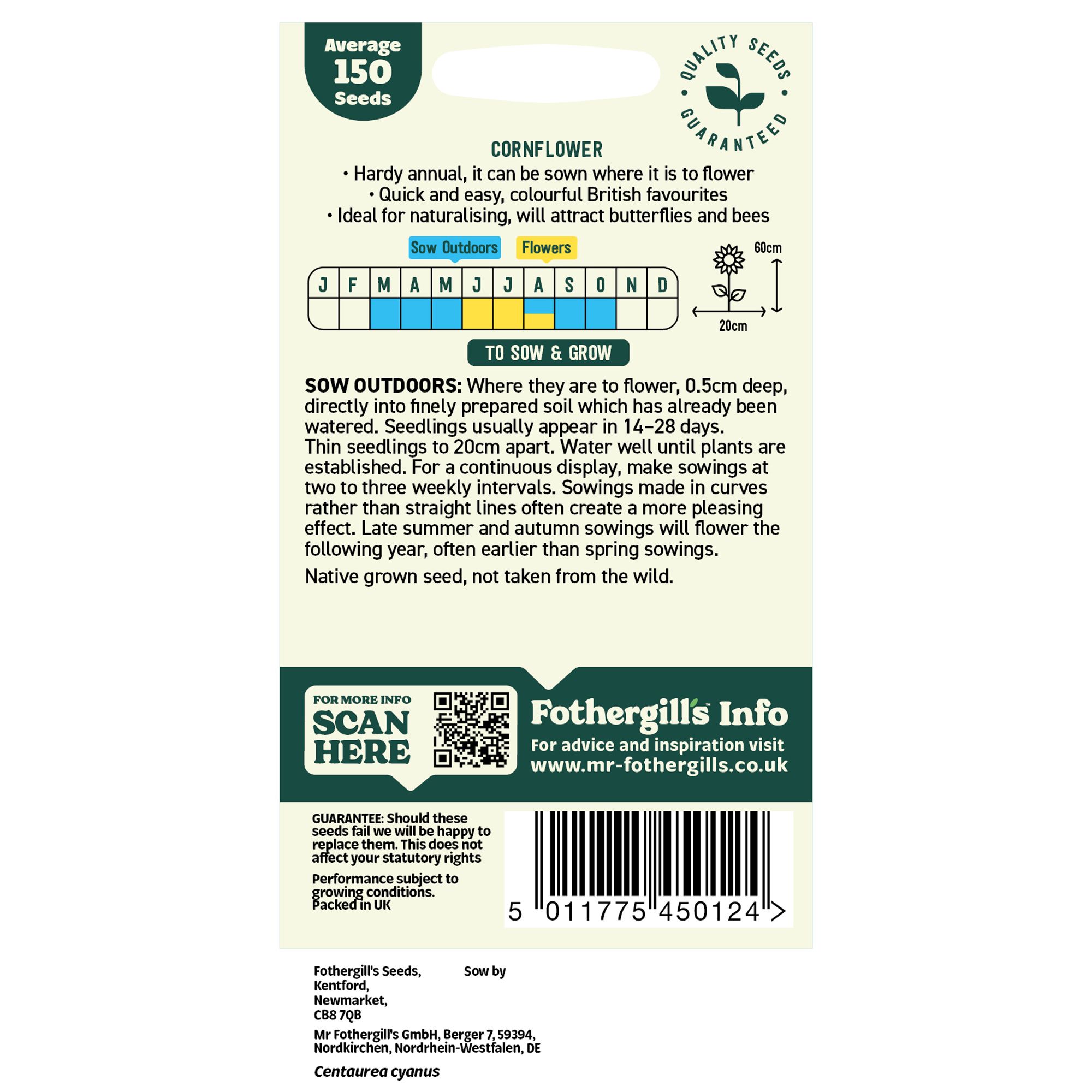 Mr Fothergills Oh Sow Simple Cornflower Flower Seeds