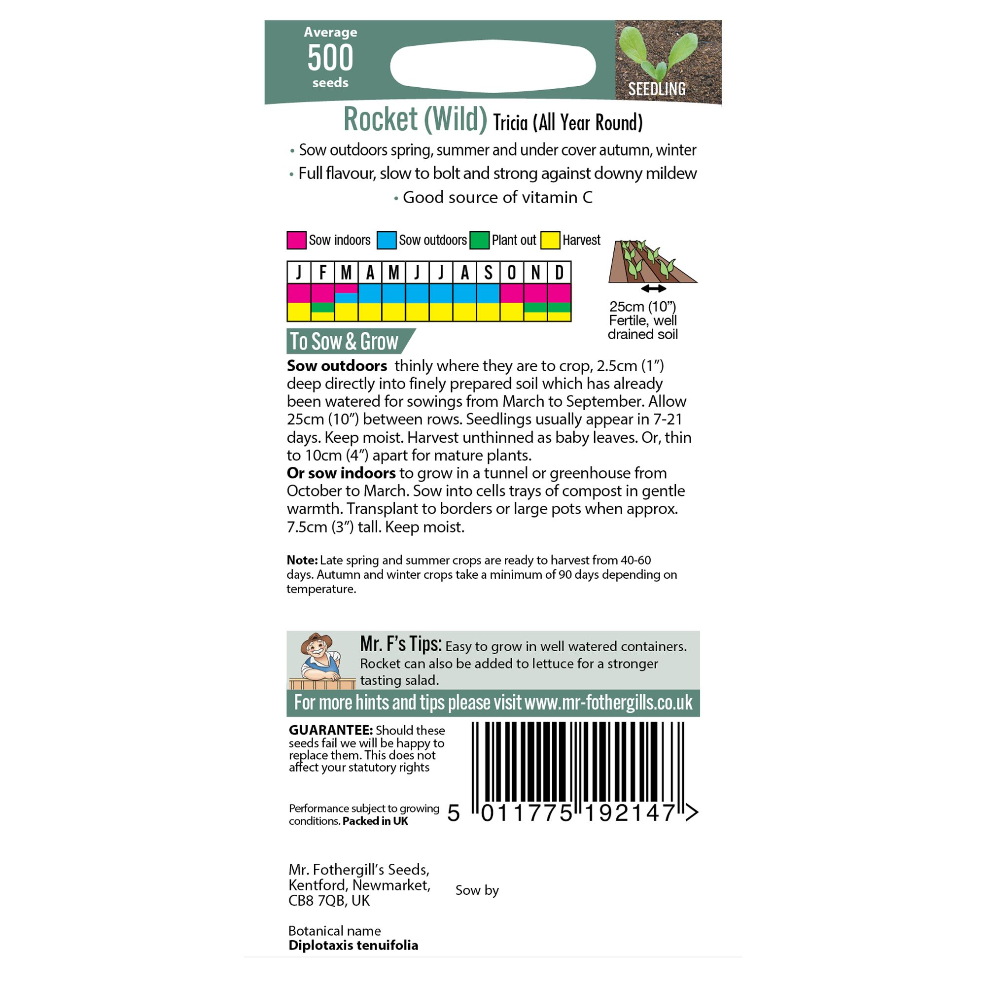 Mr Fothergills Rocket 'Tricia All Year Round' Vegetable Seeds
