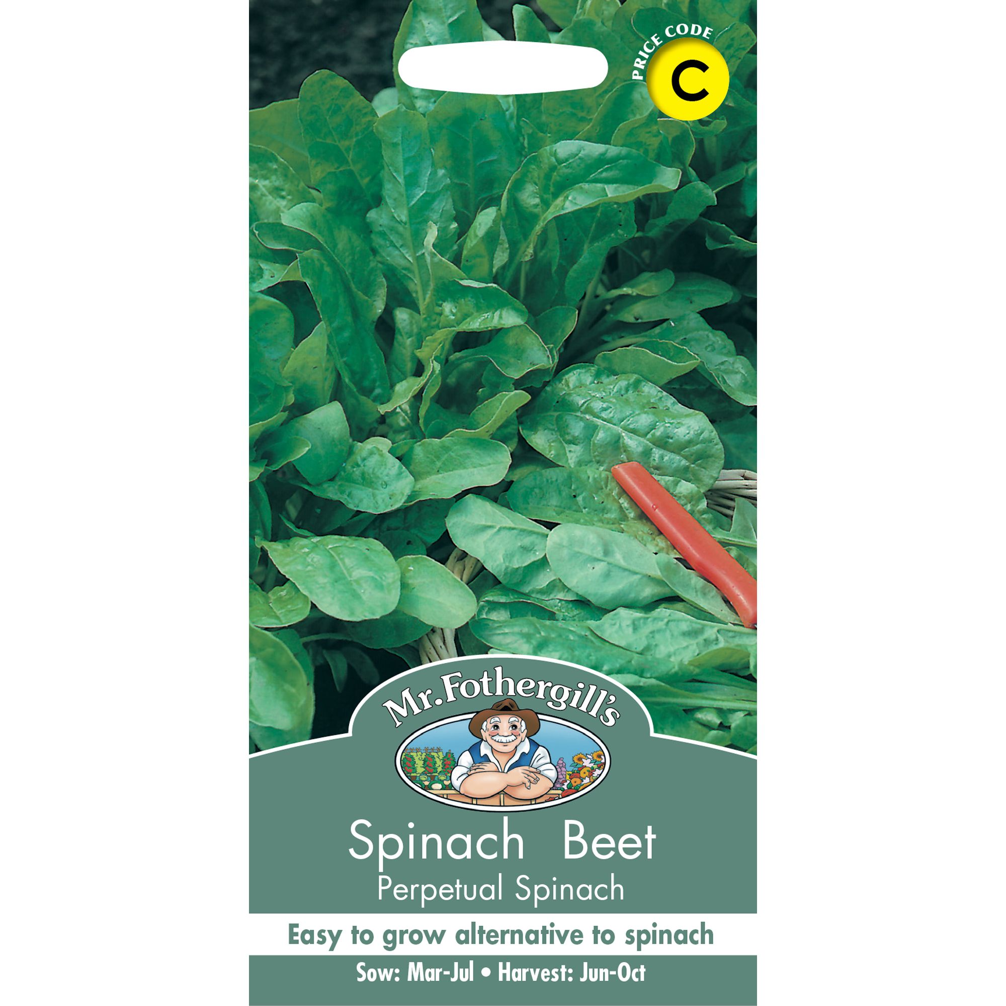 Mr Fothergills Spinach 'Perpetual Spinach' Vegetable Seeds