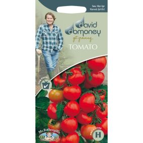 Mr FothergillsDavid Domoney Alicante Tomato Seeds