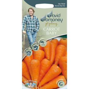 Mr FothergillsDavid Domoney (Baby Chantenay) Cascade F1 Carrot Seeds