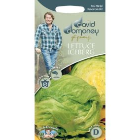Mr FothergillsDavid Domoney Balmoral Lettuce Seeds