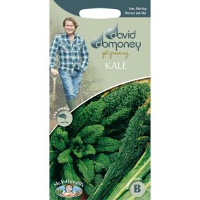 Mr FothergillsDavid Domoney Black Tuscany Kale Seeds
