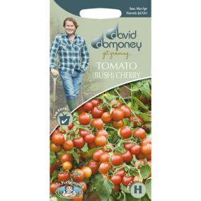 Mr FothergillsDavid Domoney Bush cherry Tomato Seeds