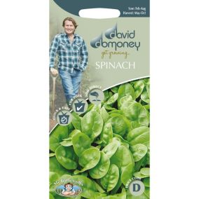Mr FothergillsDavid Domoney Emilia F1 Spinach Seeds