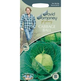 Mr FothergillsDavid Domoney Golden Acre/Primo (II) Cabbage Seeds