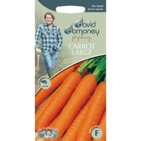 Mr FothergillsDavid Domoney Jitka F1 Carrot Seeds