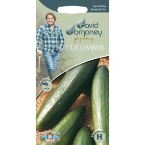 Mr FothergillsDavid Domoney La Diva Cucumber Seeds