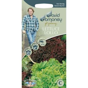 Mr FothergillsDavid Domoney Lollo Lettuce Seeds